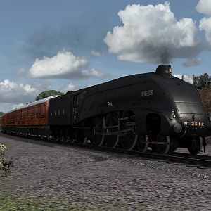 Silver Fox - SVR