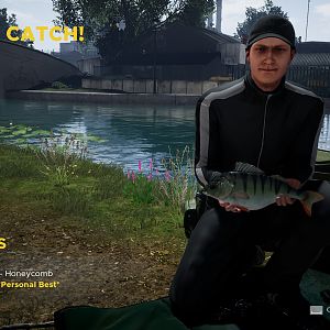 Perch - 2.04 Cardinal