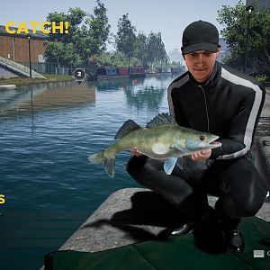 Zander - 4.11 Gnasher