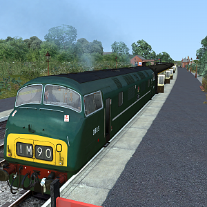 BR Green Class 42 Warship