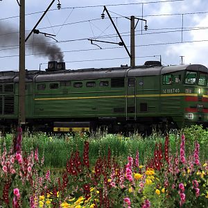 Trainhunting freight train