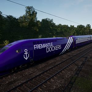 Fremantle Dockers TGV Wide