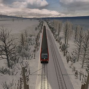 A freezing mornig near Konstanz