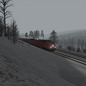 Snowing morning in the black Forest