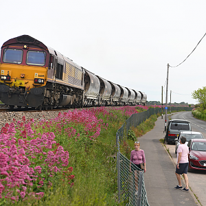 Class 66 Cockwood